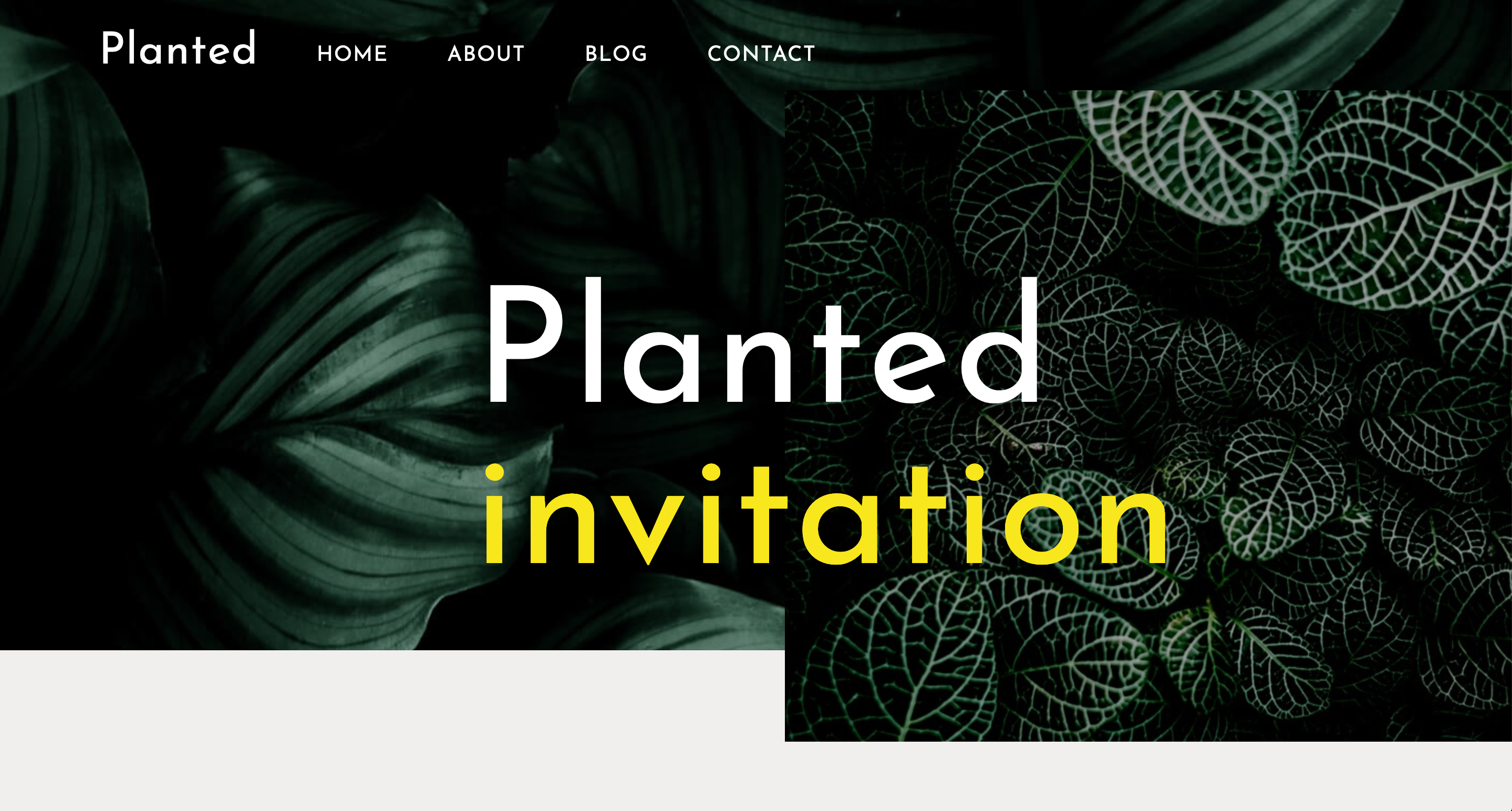 homepage for Planted website